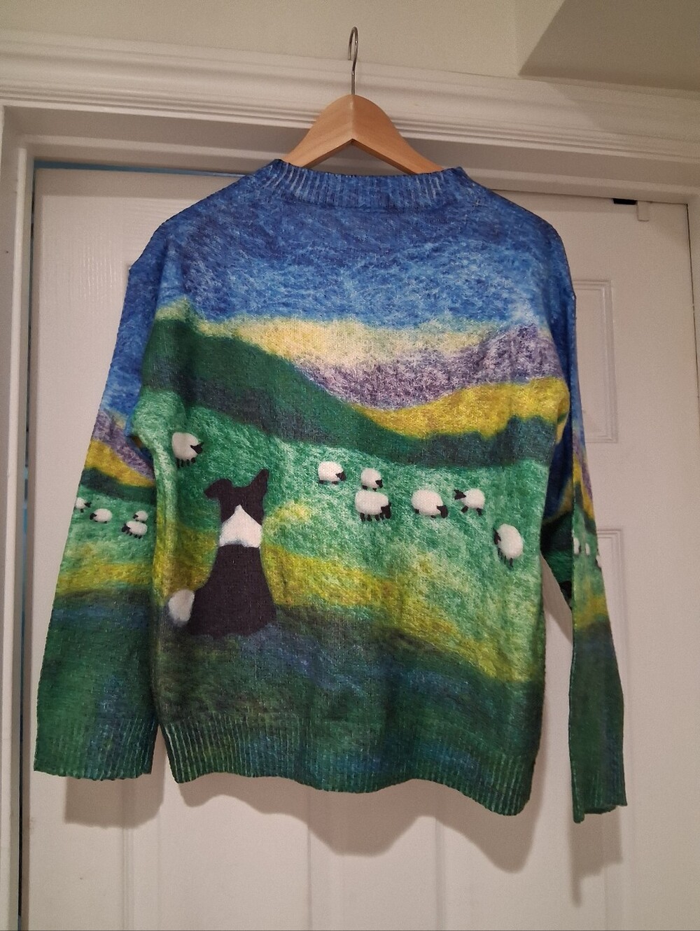 Gorgeous Winter Sweater - Picture 3 of 10